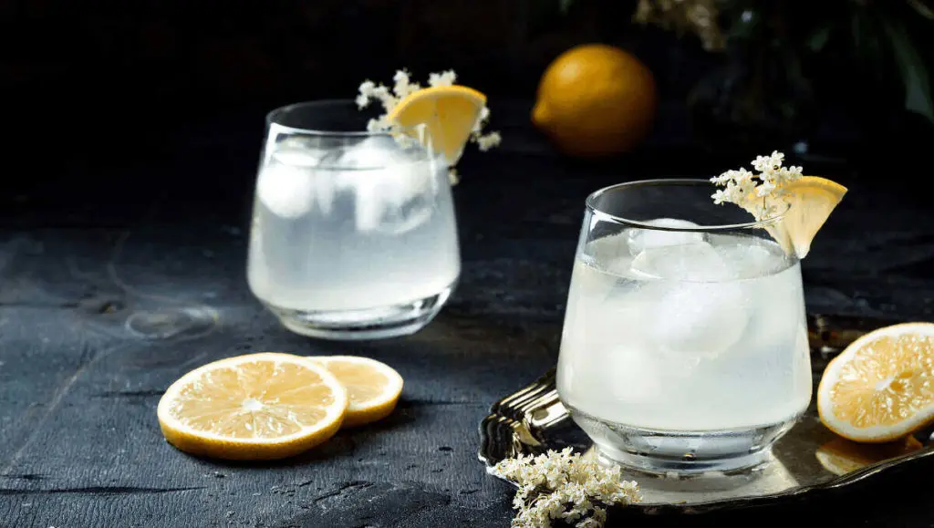 Gin Sour cocktail