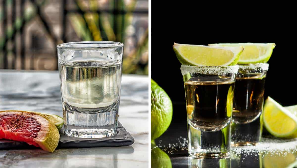 Mezcal vs. Tequila