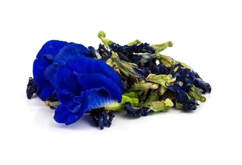 Dried and fresh butterfly pea flowers on white background