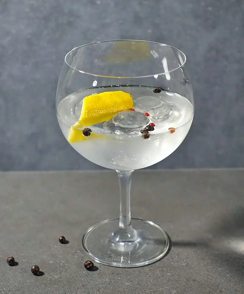 Gin and Tonic cocktail with botanicals and lemon peel