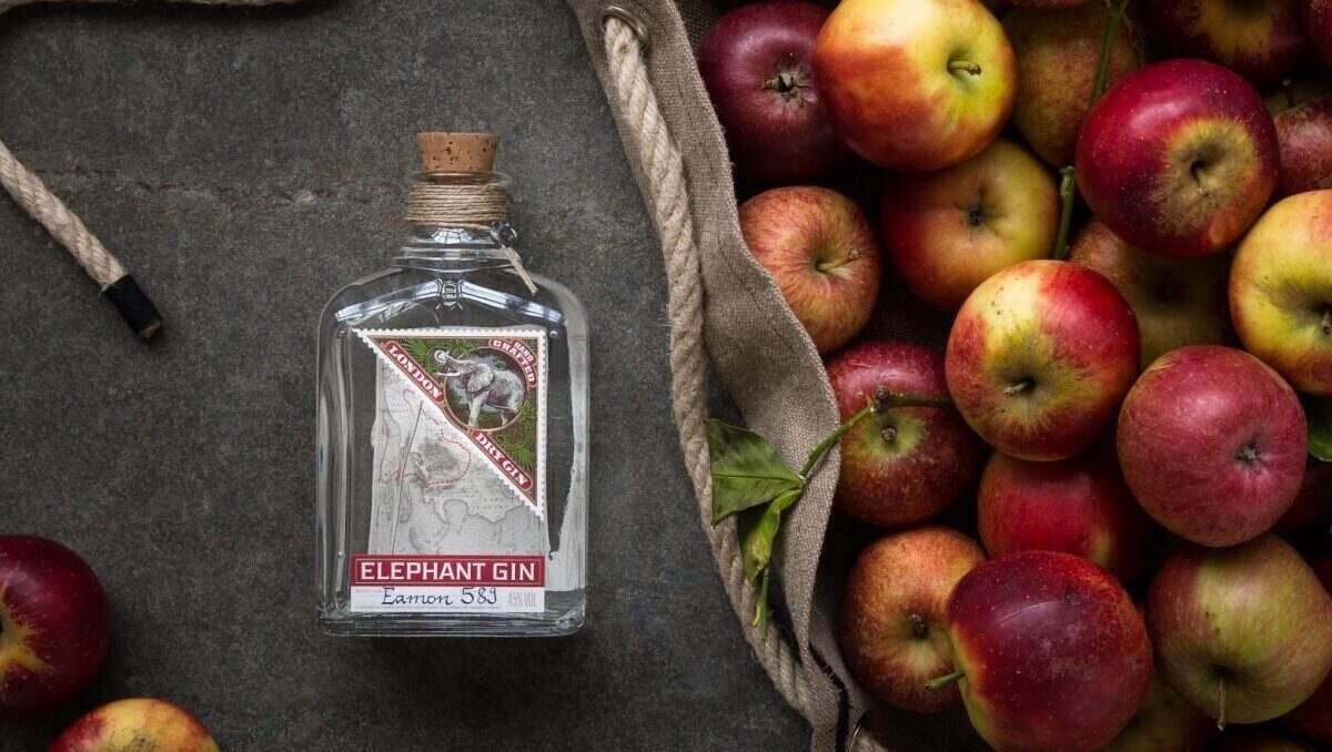 Elephant Gin Bottle