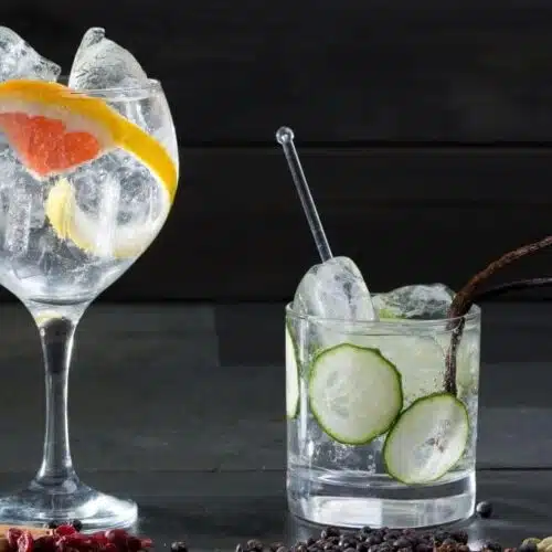 Best Gin and Tonic glass