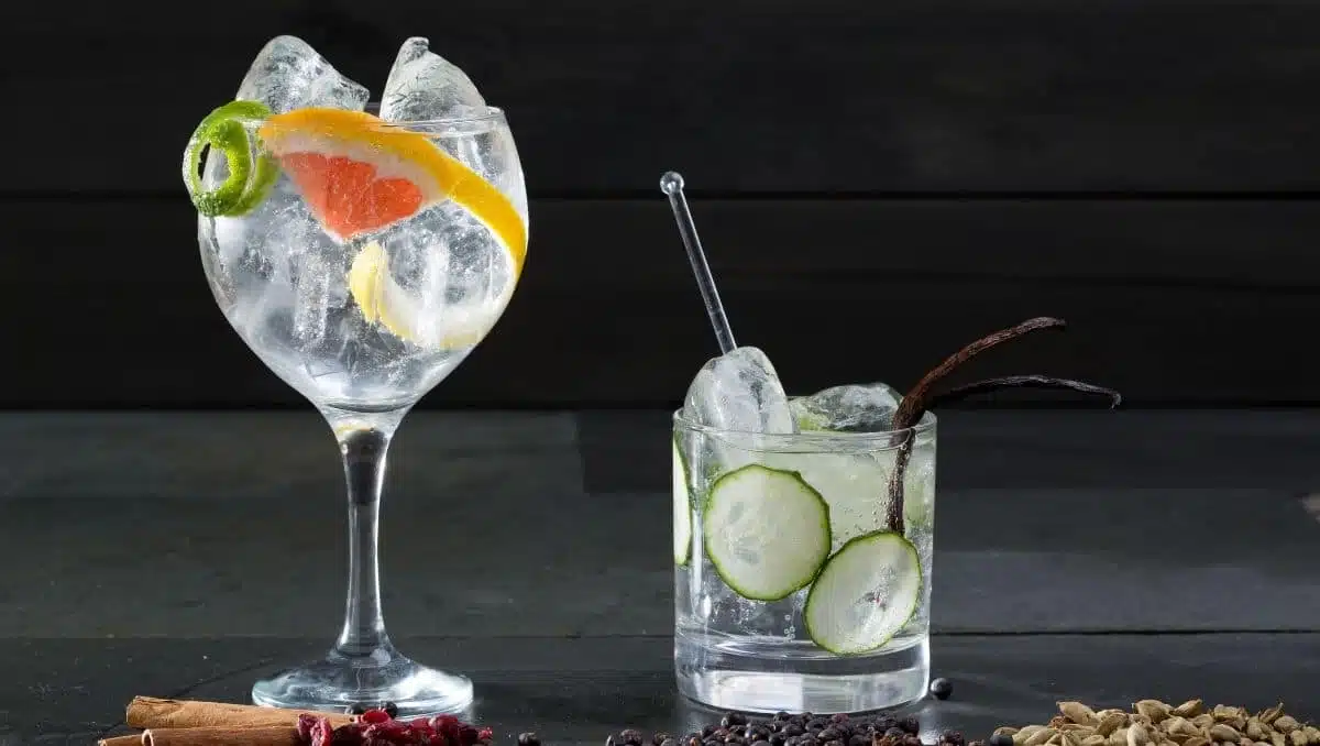 Best Gin and Tonic glass