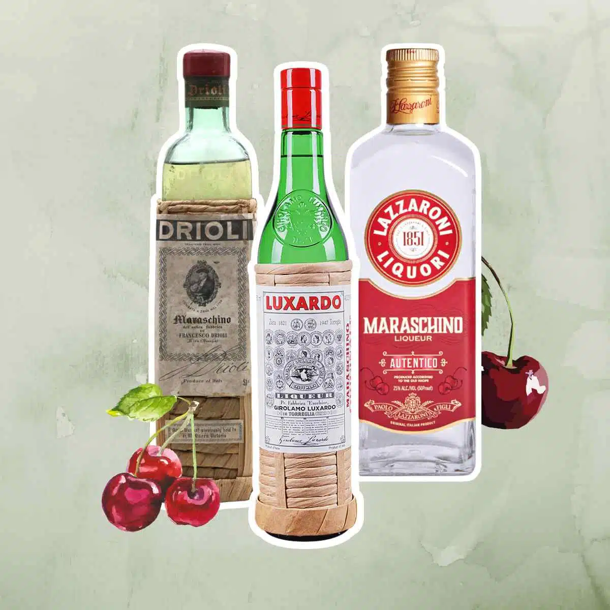 Maraschino liqueur bottles and Marasca cherries on green background