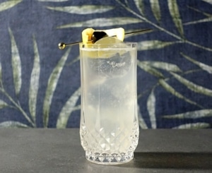 John Collins cocktail garnished with lemon and cherry on pick