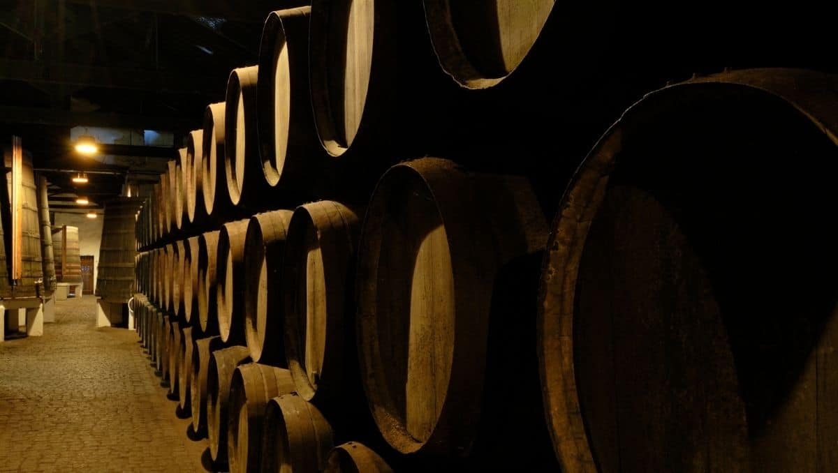 Port wine barrels in cellars