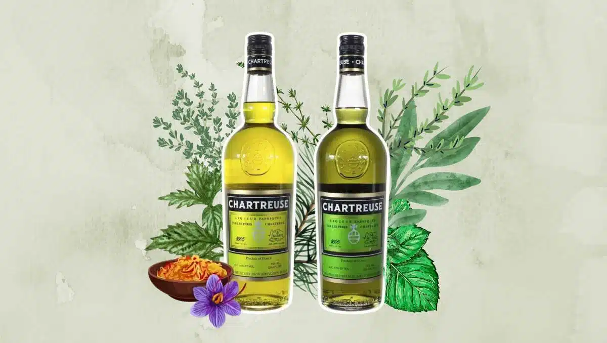 What is Chartreuse? Green and Yellow Chartreuse explained
