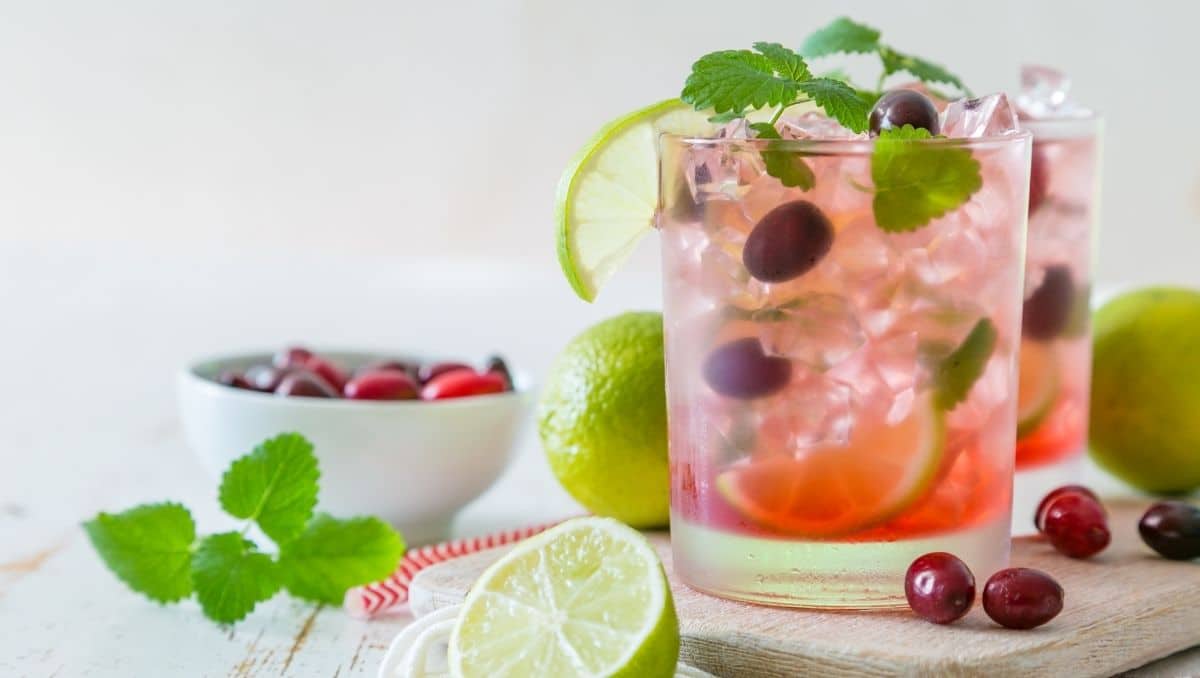 Cranberry Mojito cocktail with garnish