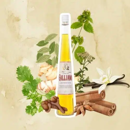 Galliano L'Autentico liqueur explained