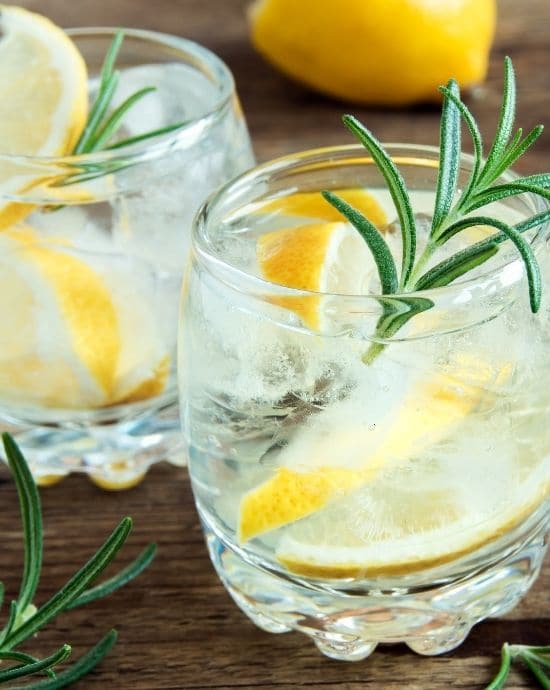 Gin and Tonic low calorie serve