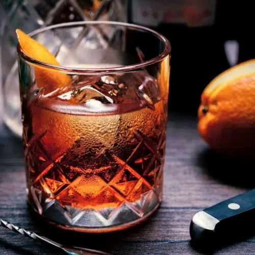 Best Gins for Negronis