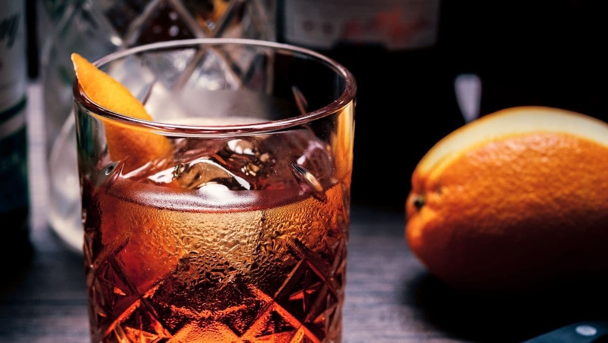 Best Gins for Negronis