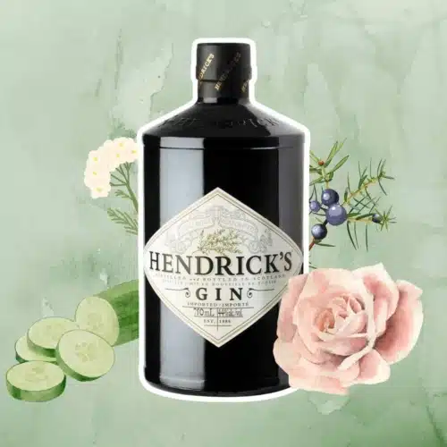 Hendrick's Gin review
