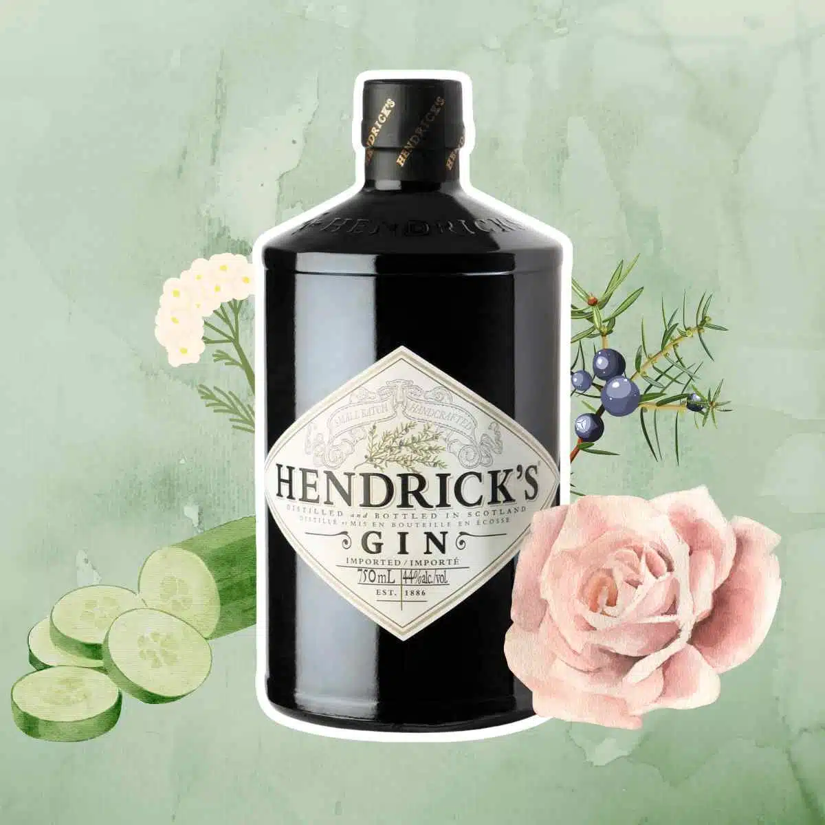 Bottle of Hendrick's Gin next to rose, cucumber, juniper, and yarrow