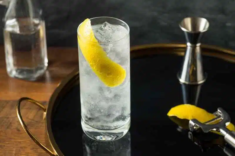 Skinny Bitch Cocktail next to lemon peel, peeler, and Jigger.