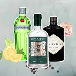 Bottles of best Gin for Martini cocktails