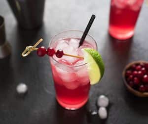 Cape Codder cocktail with cranberries