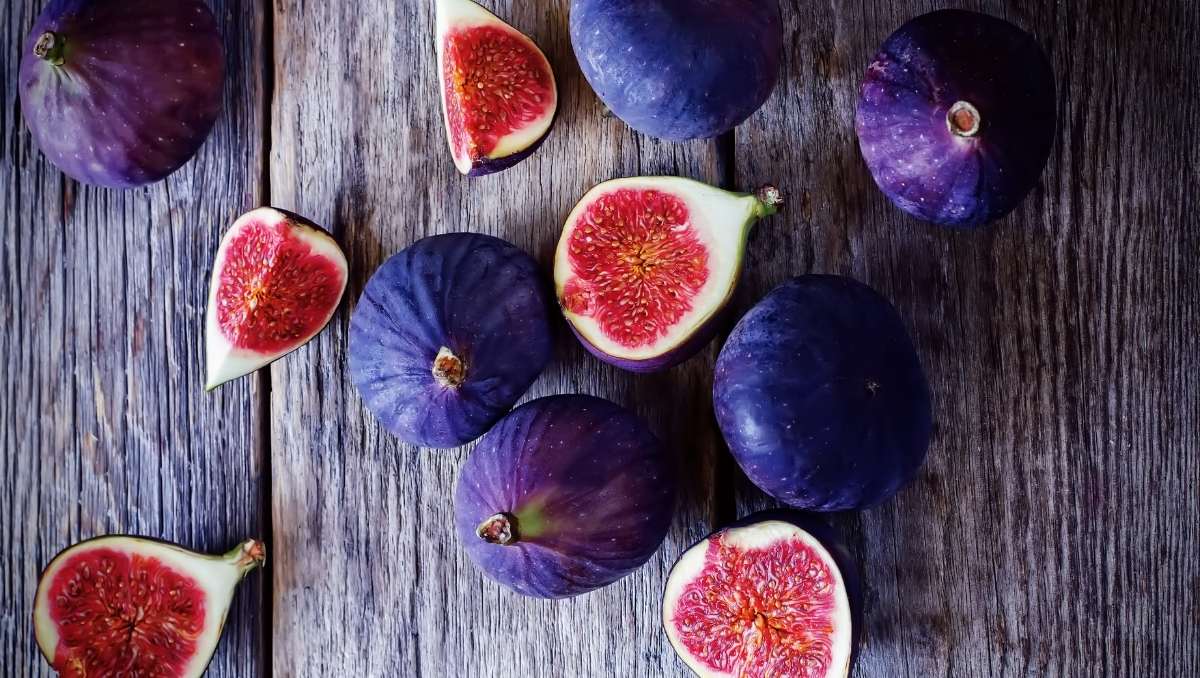 homemade Fig syrup for cocktails