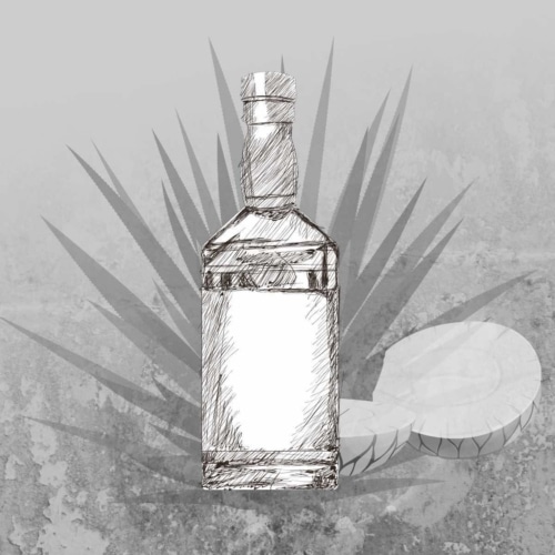 Guide to Mezcal - Mexican agave spirit