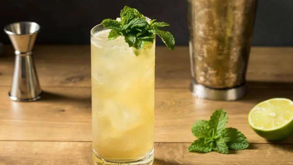 Gin-Gin Mule cocktail