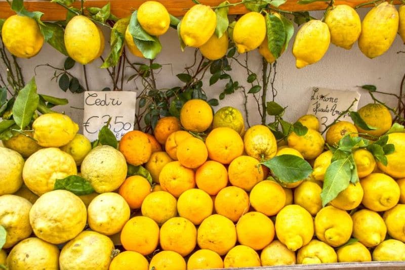 Amalfi lemons