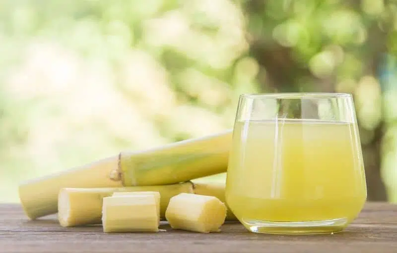 Fresh sugar cane juice - base for Rhum agricole