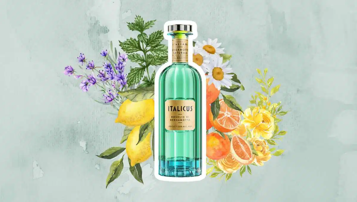 What is Italicus