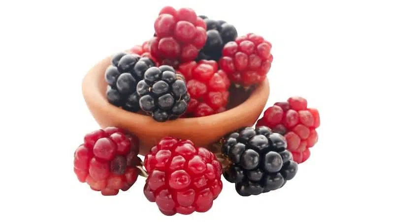 Blackberries and raspberries that go into Chambord liqueur
