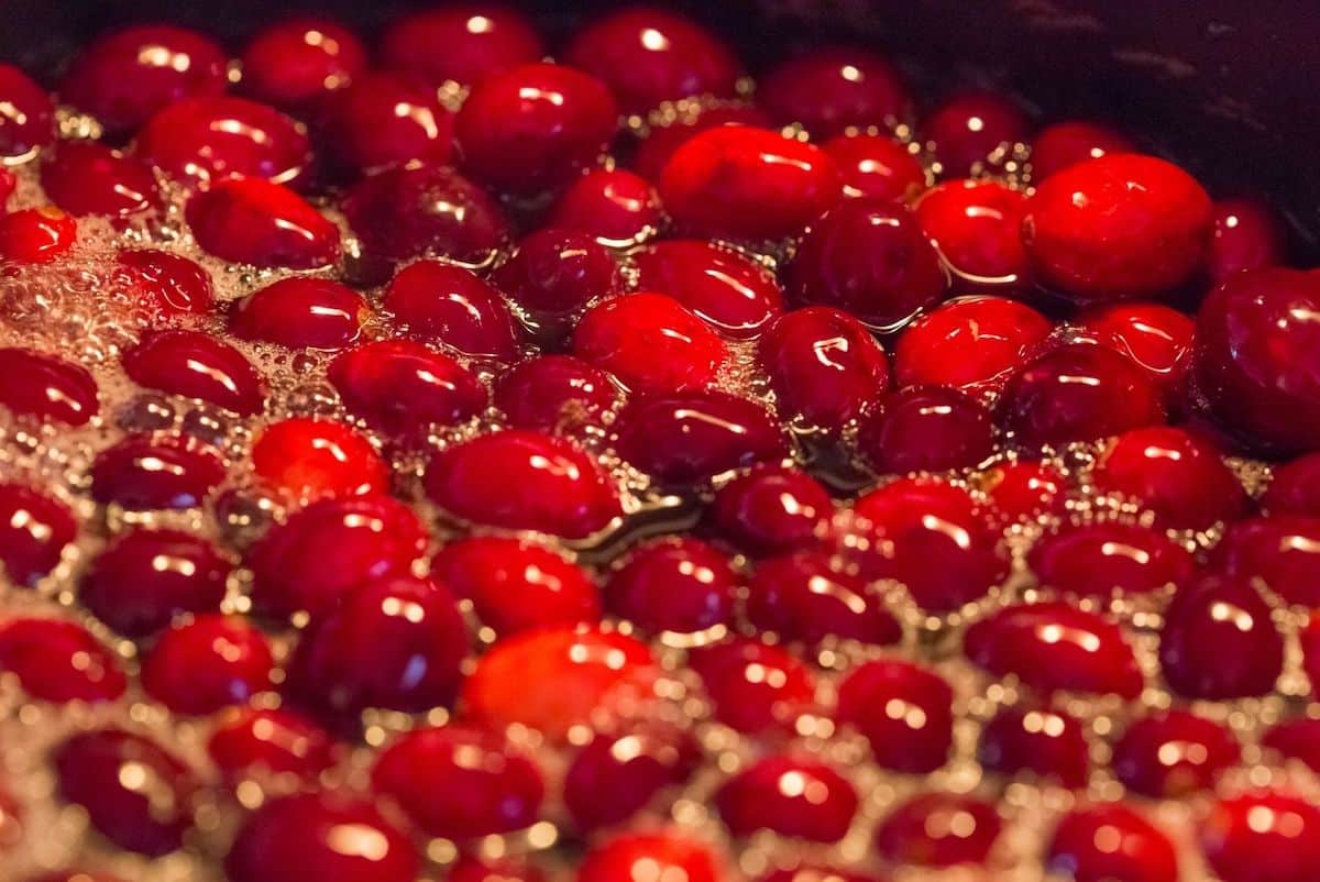 Homemade cranberry simple syrup