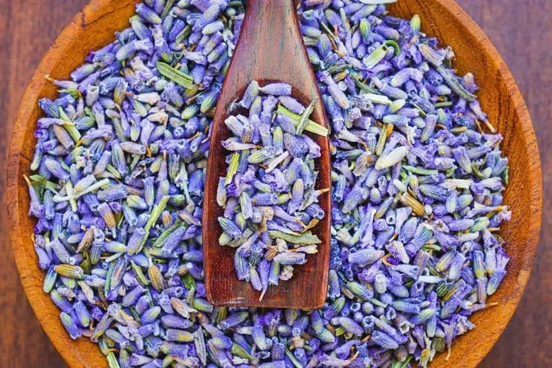 Lavender buds for simple syrup