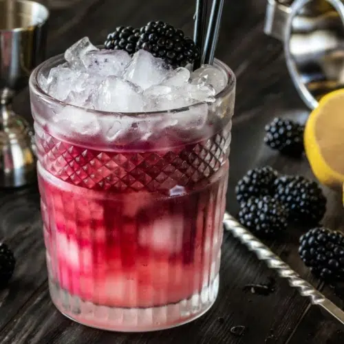 Best Gin for Bramble cocktails