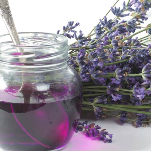 Purple Lavender simple syrup