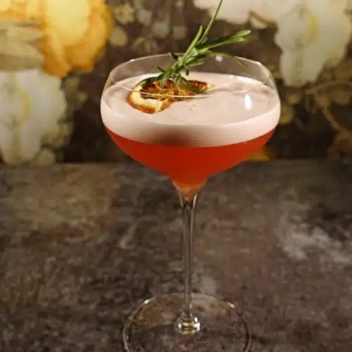 Aperol Sour cocktail with dried orange