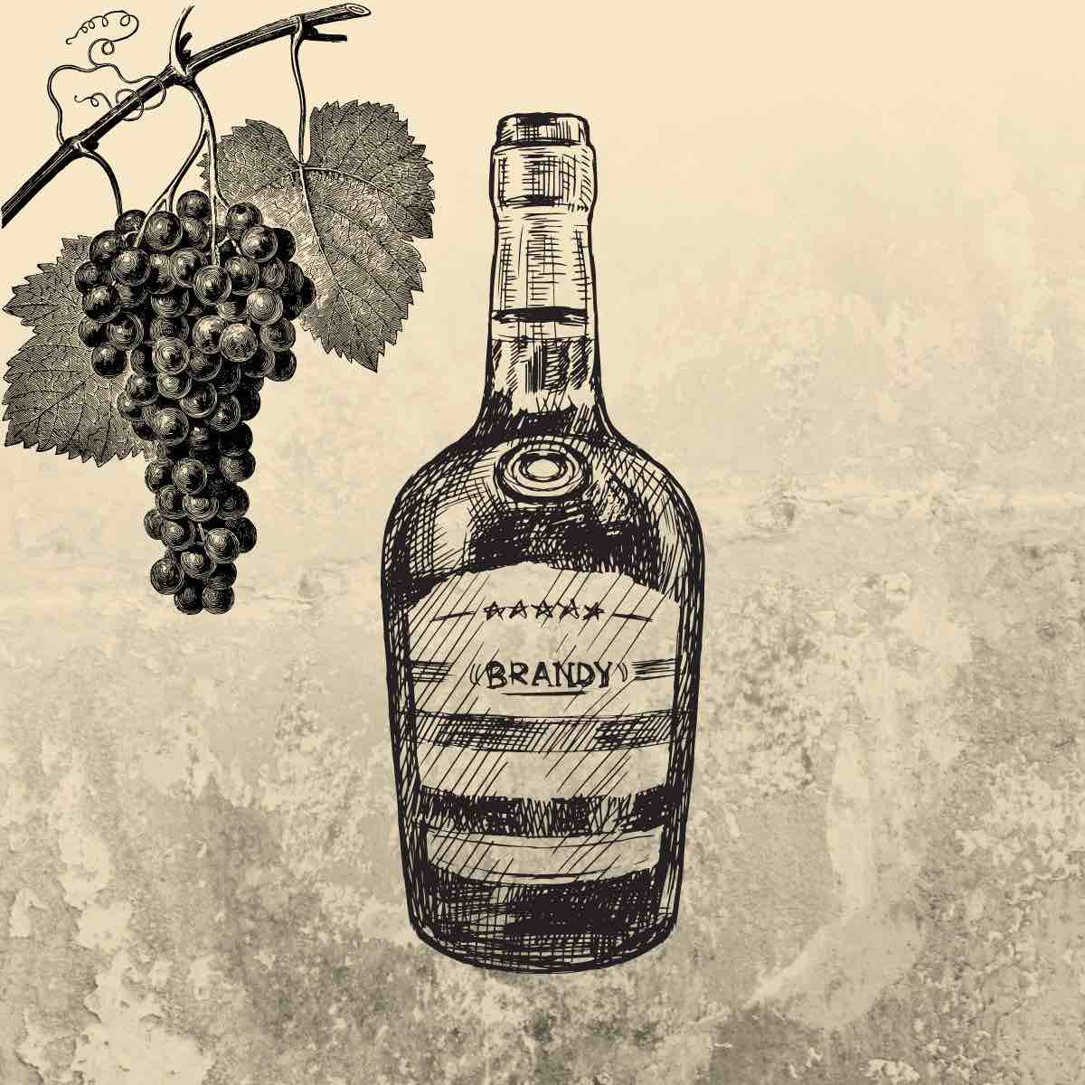Brandy Guide - What is Brandy?