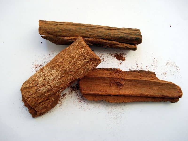 quinine powder from cinchona bark