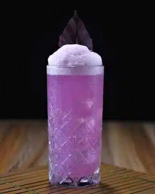 Purple Gin Fizz with frothy top and skeleton leaf garnish