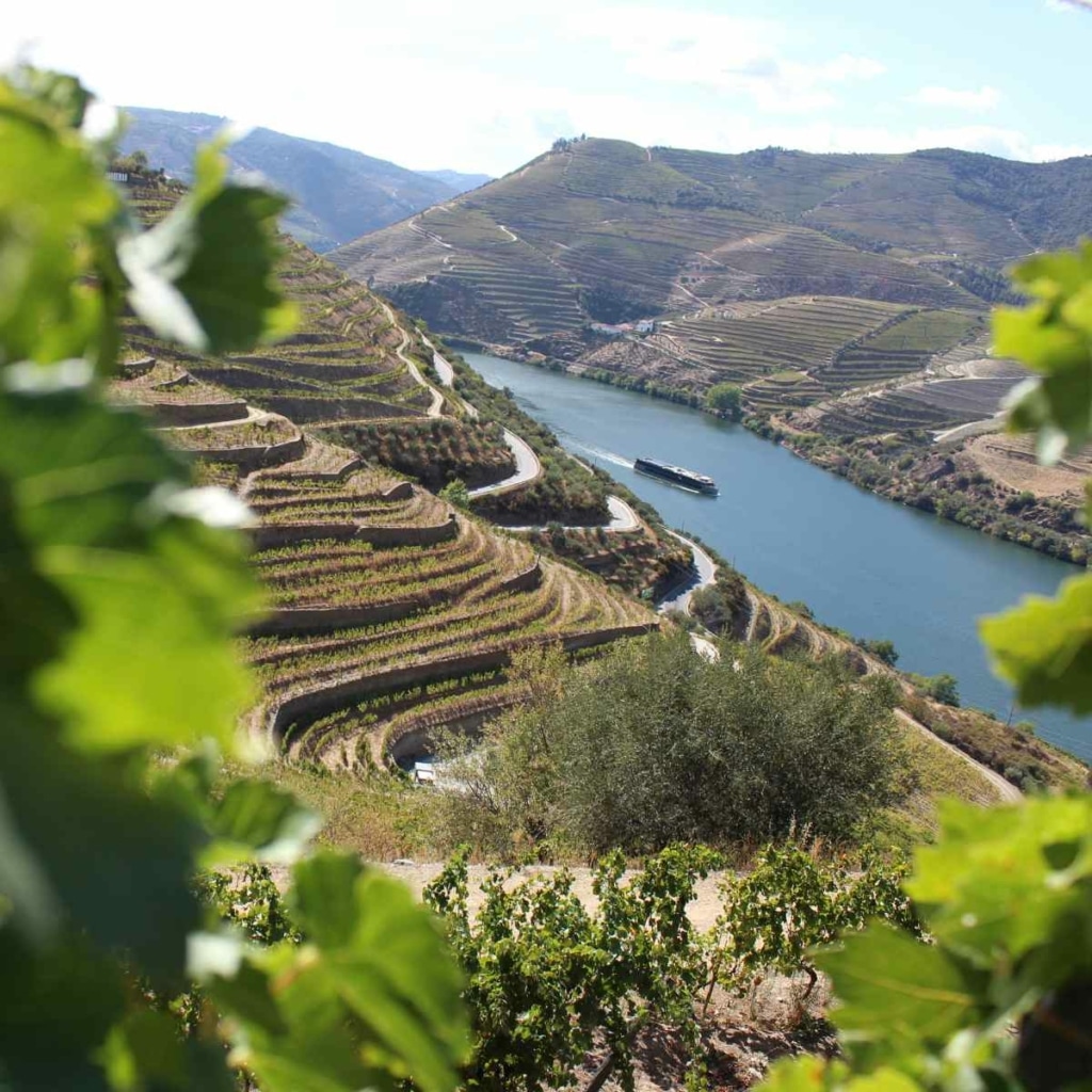 Douro Valley vineyards in Portugal