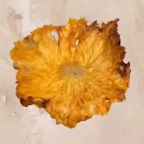 Dehydrated Pineapple flower on yellow-brown background