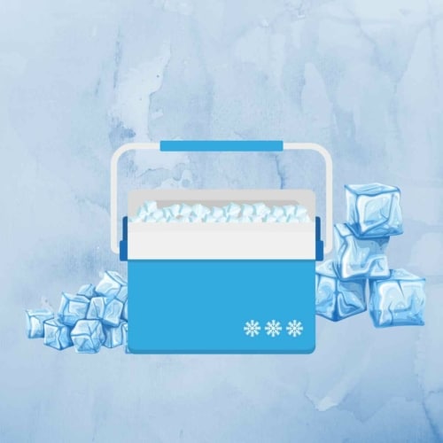 Directional Freezing - cooler and clear ice cubes