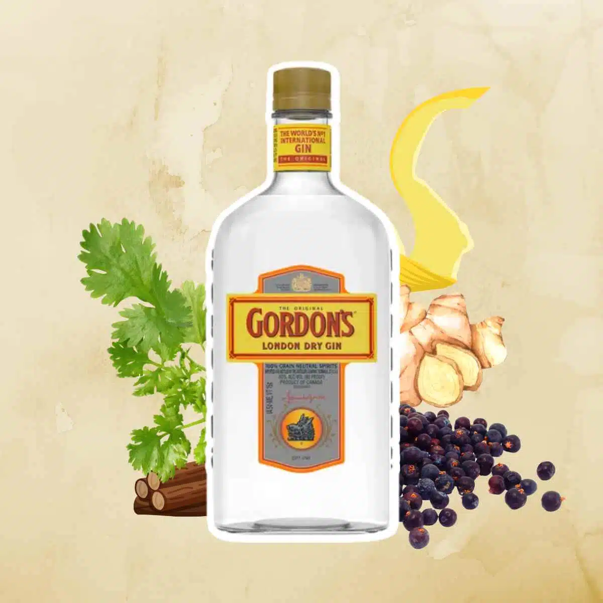 Gordon's Gin - London Dry Gin bottle and ingredients
