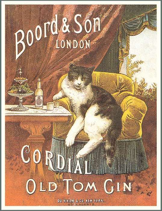 Old Tom Gin cat advertisement
