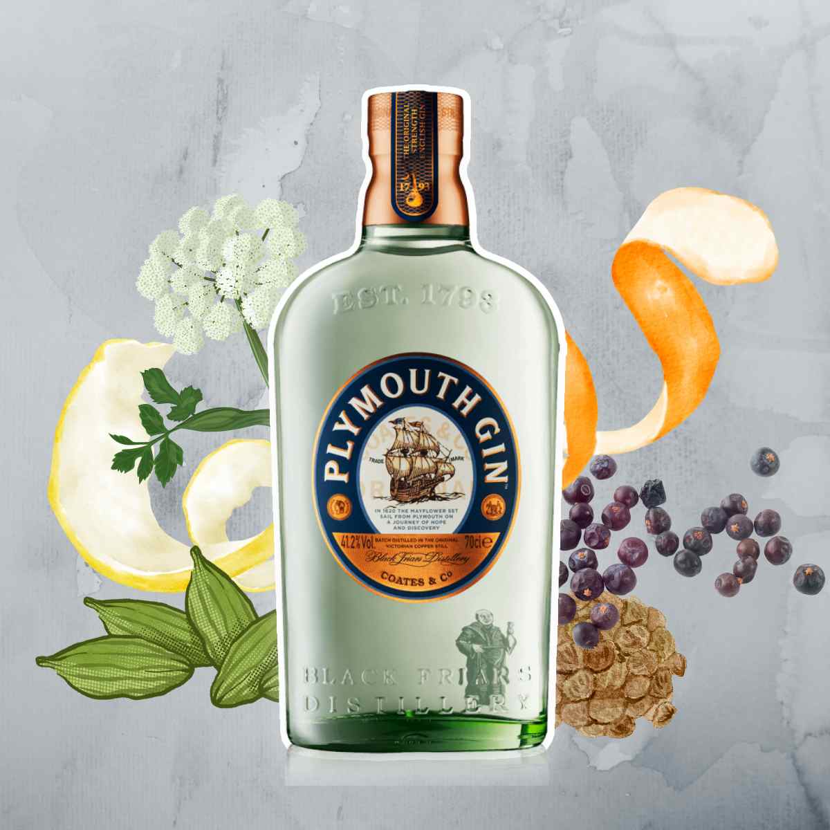Plymouth Gin bottle and botanical ingredients on blue background