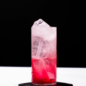 Northern Sour cocktail